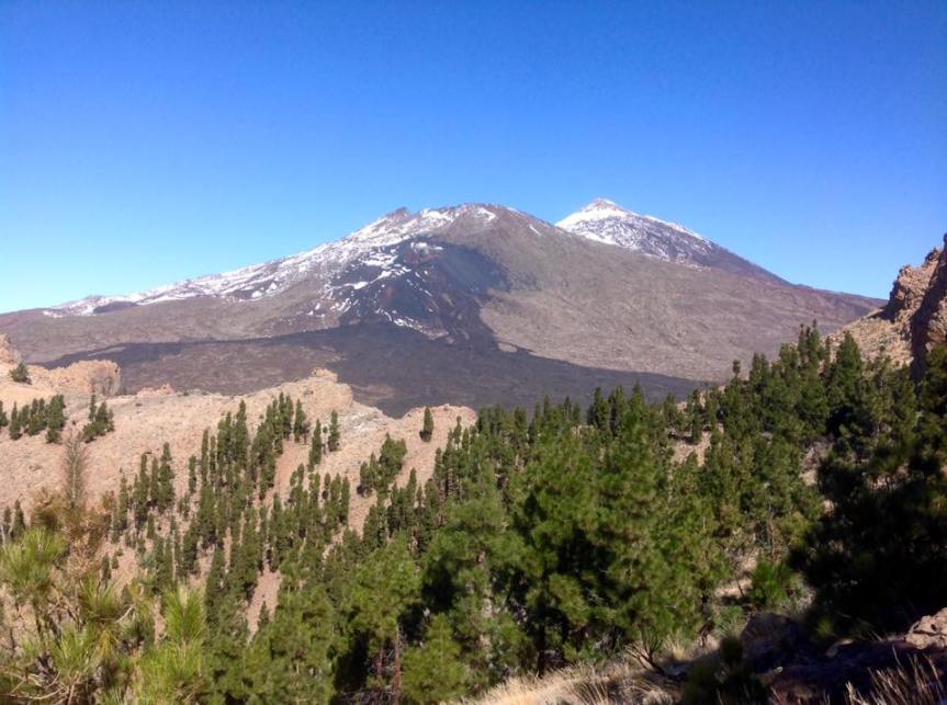 (85) Mirador Narices del Teide-El Cedro Circular (National Park)